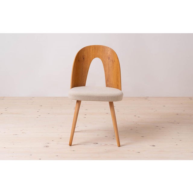 Mid-Century Dining Chairs attributed to A. Suman, 1960s, Set of 10 For Sale - Image 9 of 18