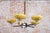 Art Deco Chandelier in Chrome, Beech, Walnut and Glass, Czech, 1920s For Sale - Image 12 of 13