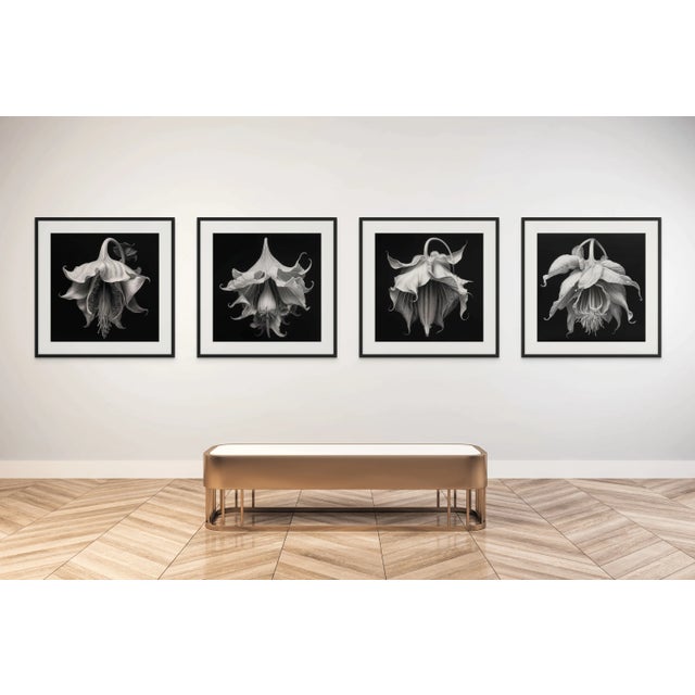 DELIVERY INFORMATION Orders for framed art and prints placed after August 7th will be dispatched starting August 28th, as...