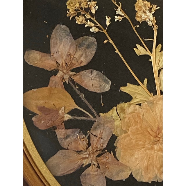 Set of 4 Hand Crafted Framed Pressed Flower Art/Wall Decor For Sale - Image 10 of 12