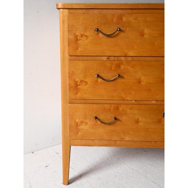 Wood Vintage Scandinavian Chest of Drawers in Birch Burl, 1960s For Sale - Image 7 of 9