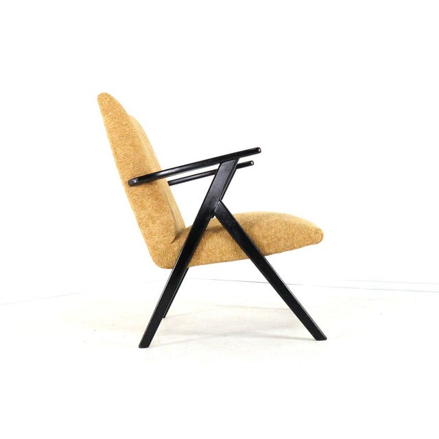 De Lier Lounge Chair For Sale - Image 6 of 16