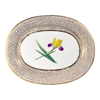 Chamberlain's Worcester Porcelain Botanical Oval Dish Painted With an Iris Circa 1815 For Sale