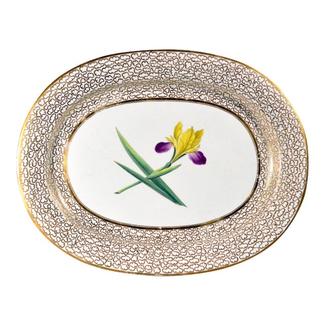 Chamberlain's Worcester Porcelain Botanical Oval Dish Painted With an Iris Circa 1815 For Sale