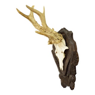 Vintage Black Forest Roe Deer Trophy on Carved Plaque, Germany 1940s For Sale