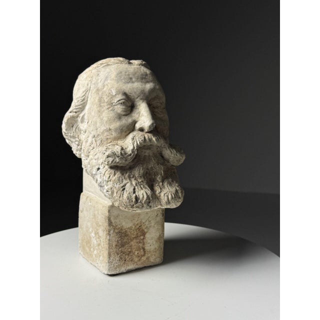 Classic Statue Head, 20th Century, Plaster For Sale - Image 5 of 18