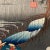 Japanese 'A View of Tsuchiyama', After Utagawa Hiroshige 歌川廣重, Ukiyo-E Woodblock, Tokaido For Sale - Image 3 of 5