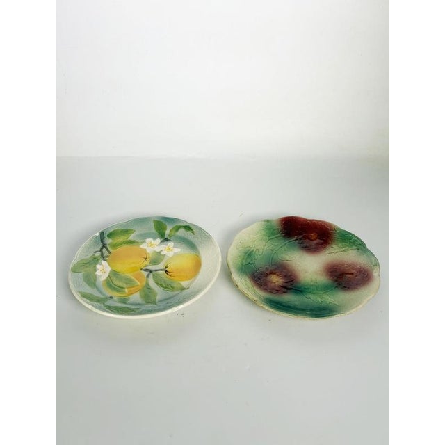 Charming pair of French majolica ceramic plates featuring two distinct hand-painted botanical designs. One plate is...