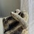 Small Balinese Limestone Frog Sculpture with Metallophone For Sale - Image 10 of 17