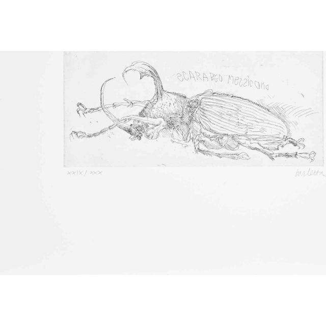 Etching and drypoint realized by Sergio Barletta. Hand signed and numbered. Edition of 30 in roman numbers. Very good...