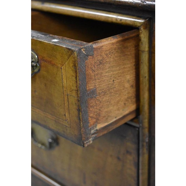 Antique Queen Anne Style Walnut Cabinet on Stand, 1900 For Sale - Image 14 of 15