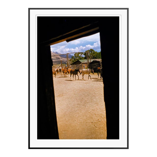 Toni Frissell 'The Round Up' Archival Pigment Print Framed in Black For Sale