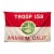 Vintage Boy Scouts Flag Troop, Anaheim, California c.1940 For Sale