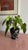 Black Curras Brothers Vase Signed 1996 Black & White Hand-Carved Art Pottery For Sale - Image 8 of 9