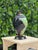 Vintage Large Studio Ceramic Covered Urn For Sale - Image 4 of 12