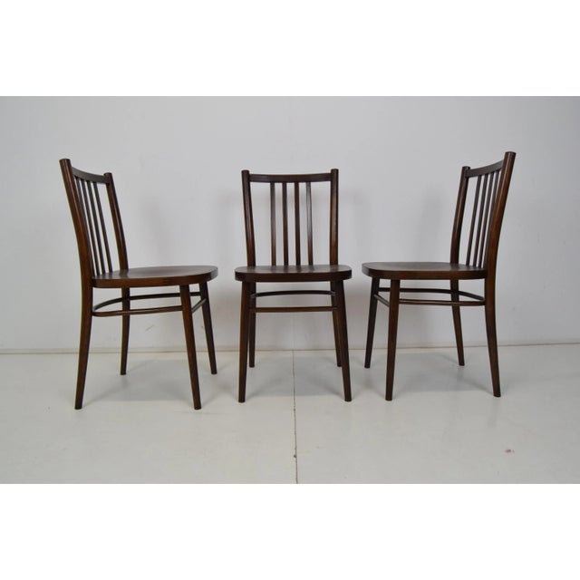 Brown Mid-Century Chairs from TON, 1960s, Set of 3 For Sale - Image 8 of 14