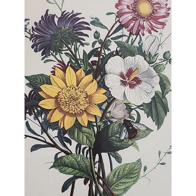 19th Century Jean Louis Prevost "Asters, Sunflower, and White Mallow" 19th Century Botanical Print For Sale - Image 5 of 6