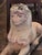1920s Egyptian Spinx Garden Statue For Sale In San Diego - Image 6 of 8