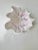 Ceramic Coral Bowl by N'atelier For Sale - Image 12 of 18