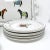 Ceramic Contemporary The Mane Lion Hand-Painted Dinner Plates - Devon Collection- Set of 4 For Sale - Image 7 of 8
