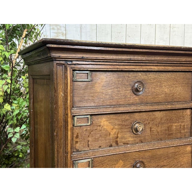 Early 20th century oak and fir notary's cabinet with 18 drawers - W=1.48m, H=1.71m, D=52.5cm.