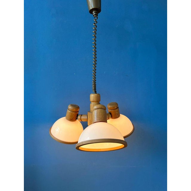 Flexible mid century Steinhauer space age light fixture with wooden frame and acrylic glass shades. The shades produce a...