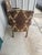 Mid-Century Modern 2 Vintage Queen Anne Accent Chairs, Paisley Tapestry Armchairs, Cabriole Legs For Sale - Image 3 of 11