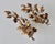 Late 20th Century Hans Kögl Style Gilded Flowers Stems Leaves Wall Mount Candle Holders Sconces - a Pair For Sale - Image 18 of 18