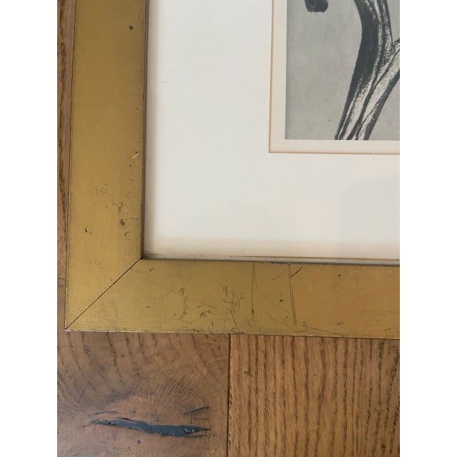 Framed Reproduction Karl Blossfeldt Prints - Set of 2 For Sale In Los Angeles - Image 6 of 12