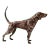 Antique Brass Finish Metal Dog Sculpture For Sale