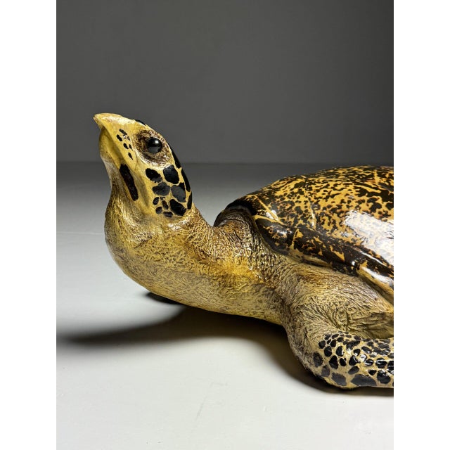 Realistic Plastic Turtle For Sale - Image 9 of 18