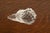 Lalique "Eagle Head" Art Deco Crystal Paperweight For Sale - Image 10 of 12