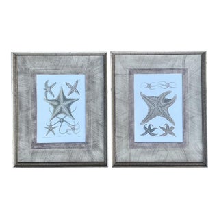 Vintage John Richard Starfish Prints - Set of 2 For Sale
