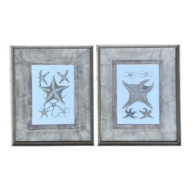 Vintage John Richard Starfish Prints - Set of 2 For Sale