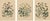 Anst. v. Hochdanz, Moths & Butterflies on Wildflowers, 1883, Paper, Set of 3 For Sale - Image 9 of 9