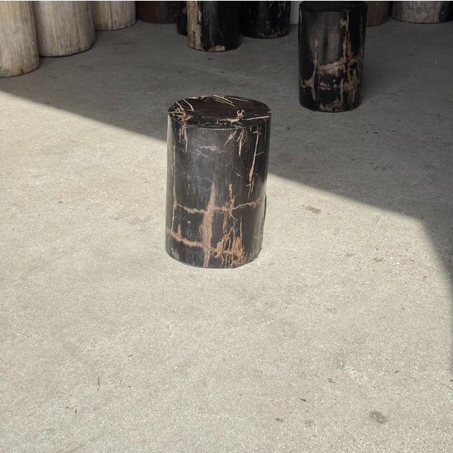 Small Side Table in Black Petrified Wood with Beige Striations For Sale - Image 9 of 18
