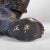 Brown Wooden Hokkaido Kibori Kuma Bear, Japan, 1920s For Sale - Image 8 of 13