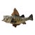 Vintage Largemouth Bass Real Skin Wall Mount Taxidermy Fishing Wall Decor For Sale