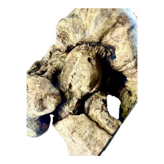 Large Burl Wood Sculpture- Natural Burl Art- Organic Modern Decor- One of a Kind For Sale
