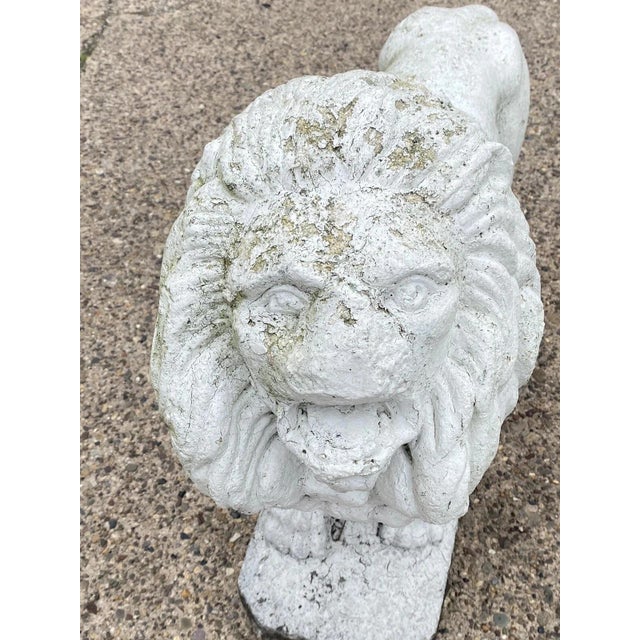 Vintage Classical Style Standing Lion Cement Guardian Entry Garden Statue - Pair For Sale In Philadelphia - Image 6 of 12