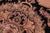 Shabby Chic 1990's Pak-Persian Black/Tan Wool Rug - 4'6'' X 7'2'' For Sale - Image 4 of 9