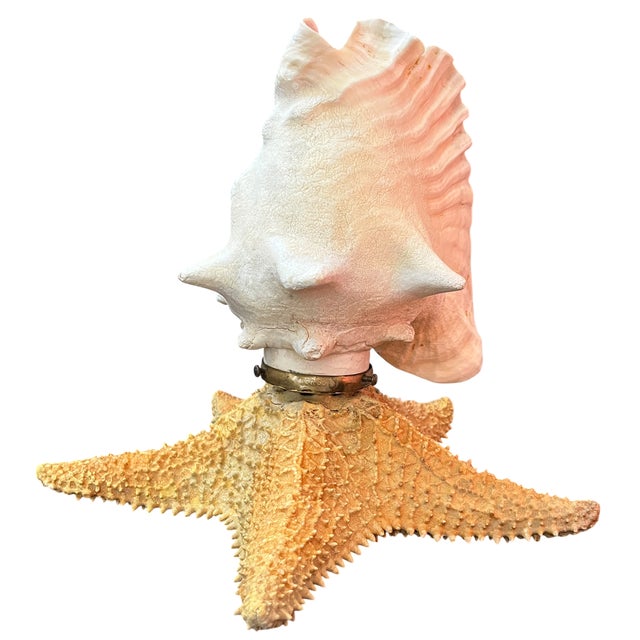 Hollywood Regency Vintage Natural Conch Shell & Starfish Coastal Table Lamps - a Pair For Sale - Image 3 of 18