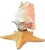 Hollywood Regency Vintage Natural Conch Shell & Starfish Coastal Table Lamps - a Pair For Sale - Image 3 of 18