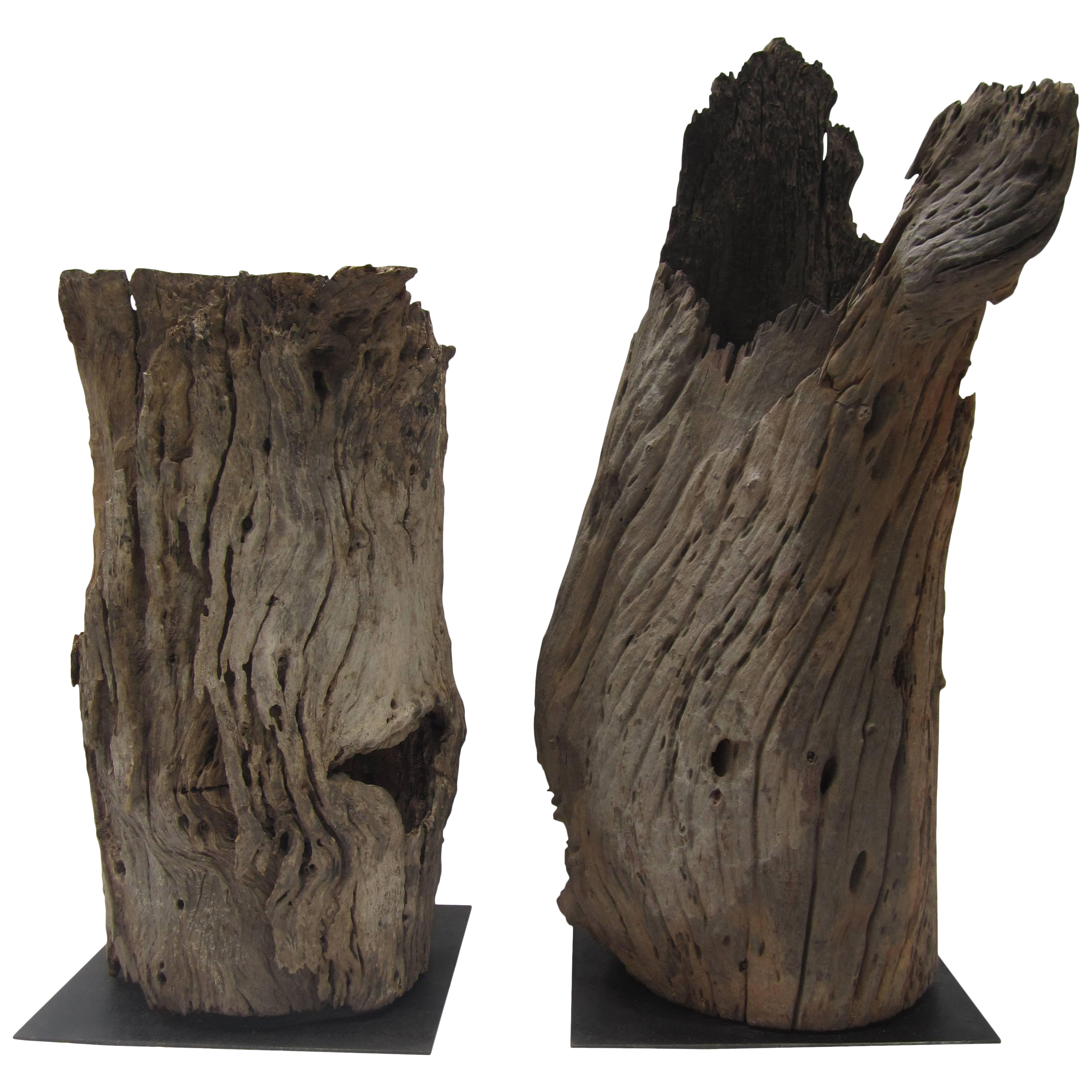 tree trunk floor lamp