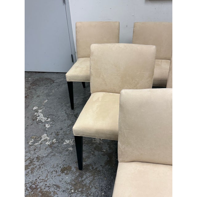 Room & Board Marie Dining Chairs, Set of Six For Sale - Image 12 of 12
