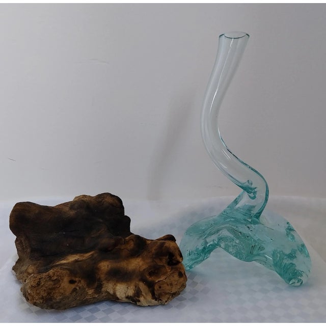 Glass Gamal Root Tree Glass Vase, 2010s For Sale - Image 7 of 9