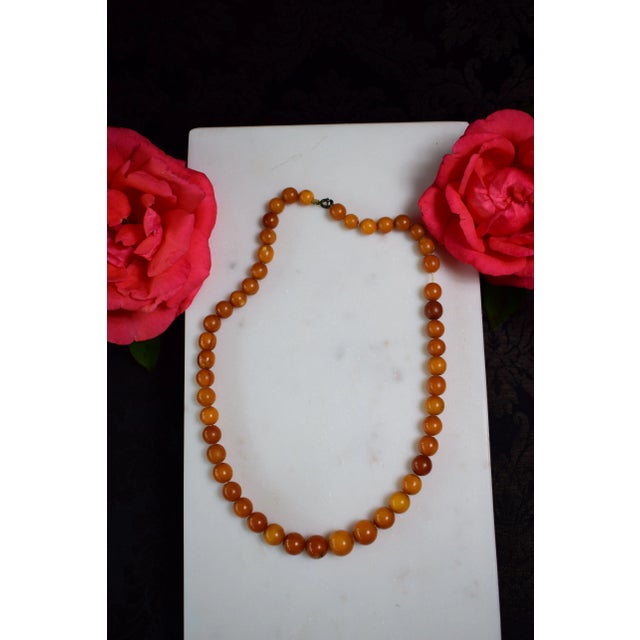 Antique Baltic Amber Choker Necklace, 1940s For Sale - Image 15 of 16