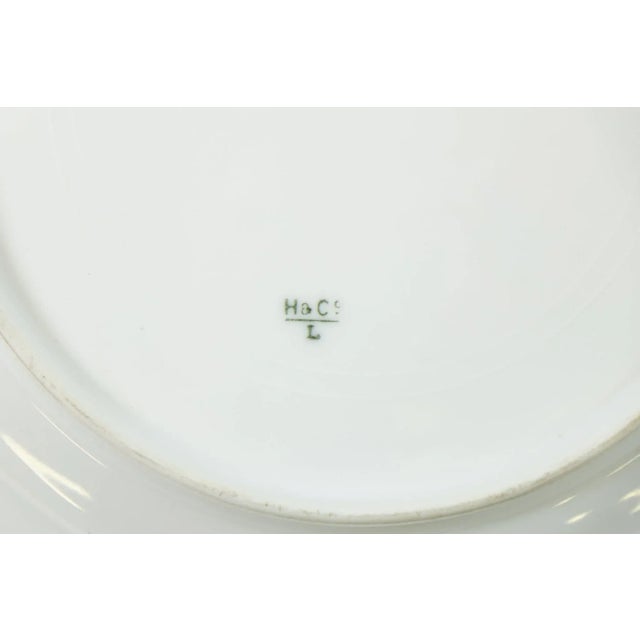 Beige 19th Century H&C Decorative Wall Hanging Plates - Set of 3 For Sale - Image 8 of 9