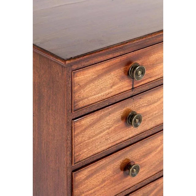 Brown George III Mahogany Chest For Sale - Image 8 of 13