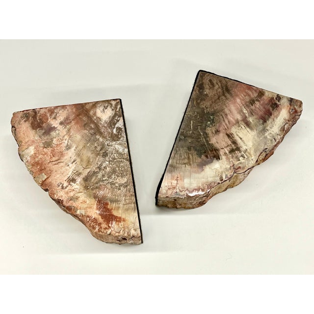 1970s Pair of Petrified Wood Bookends – Large Bookmatched Fossil Wood Slabs – Organic Modern / MCM Shelf Decor For Sale - Image 5 of 9